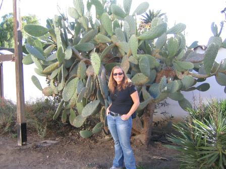 cactusabby.jpg