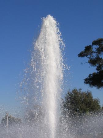 spray.jpg